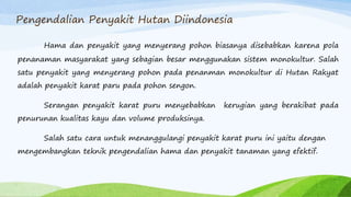 Pengendalian Penyakit Hutan Diindonesia
Hama dan penyakit yang menyerang pohon biasanya disebabkan karena pola
penanaman masyarakat yang sebagian besar menggunakan sistem monokultur. Salah
satu penyakit yang menyerang pohon pada penanman monokultur di Hutan Rakyat
adalah penyakit karat paru pada pohon sengon.
Serangan penyakit karat puru menyebabkan kerugian yang berakibat pada
penurunan kualitas kayu dan volume produksinya.
Salah satu cara untuk menanggulangi penyakit karat puru ini yaitu dengan
mengembangkan teknik pengendalian hama dan penyakit tanaman yang efektif.
 