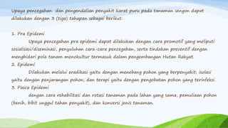 Upaya pencegahan dan pengendalian penyakit karat puru pada tanaman sengon dapat
dilakukan dengan 3 (tiga) tahapan sebagai berikut:
1. Pra Epidemi
Upaya pencegahan pra epidemi dapat dilakukan dengan cara promotif yang meliputi
sosialisasi/diseminasi, penyuluhan cara-cara pencegahan, serta tindakan preventif dengan
menghidari pola tanam monokultur termasuk dalam pengembangan Hutan Rakyat.
2. Epidemi
Dilakukan melalui eradikasi yaitu dengan menebang pohon yang berpenyakit; isolasi
yaitu dengan penjarangan pohon; dan terapi yaitu dengan pengobatan pohon yang terinfeksi.
3. Pasca Epidemi
dengan cara rehabilitasi dan rotasi tanaman pada lahan yang sama, pemuliaan pohon
(benih, bibit unggul tahan penyakit), dan konversi jenis tanaman.
 