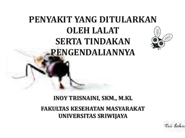 Pengendalian Vektor Lalat