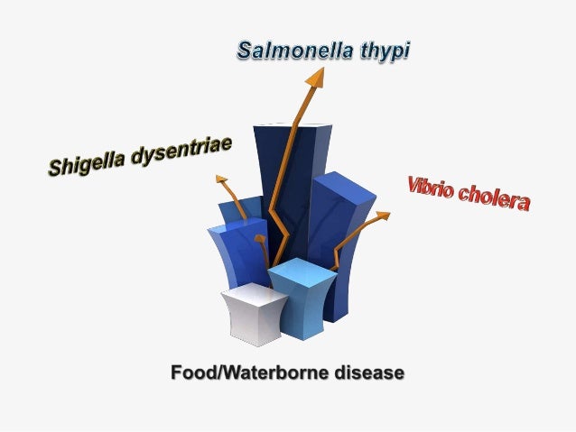 Pengendalian Vektor Lalat