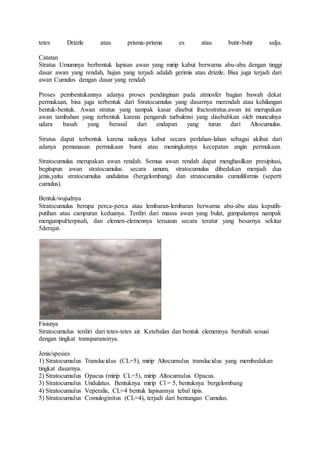 tetes Drizzle atau prisma-prisma es atau butir-butir salju.
Catatan
Stratus Umumnya berbentuk lapisan awan yang mirip kabut berwarna abu-abu dengan tinggi
dasar awan yang rendah, hujan yang terjadi adalah gerimis atau drizzle. Bisa juga terjadi dari
awan Cumulus dengan dasar yang rendah
Proses pembentukannya adanya proses pendinginan pada atmosfer bagian bawah dekat
permukaan, bisa juga terbentuk dari Stratocumulus yang dasarnya merendah atau kehilangan
bentuk-bentuk. Awan stratus yang tampak kasar disebut fractostratus.awan ini merupakan
awan tambahan yang terbentuk karena pengaruh turbulensi yang disebabkan oleh munculnya
udara basah yang berasal dari endapan yang turun dari Altocumulus.
Stratus dapat terbentuk karena naiknya kabut secara perlahan-lahan sebagai akibat dari
adanya pemanasan permukaan bumi atau meningkatnya kecepatan angin permukaan.
Stratocumulus merupakan awan rendah. Semua awan rendah dapat menghasilkan presipitasi,
begitupun awan stratocumulus. secara umum, stratocumulus dibedakan menjadi dua
jenis,yaitu stratocumulus undulatus (bergelombang) dan stratocumulus cumuliformis (seperti
cumulus).
Bentuk/wujudnya
Stratocumulus berupa perca-perca atau lembaran-lembaran berwarna abu-abu atau keputih-
putihan atau campuran keduanya. Terdiri dari massa awan yang bulat, gumpalannya nampak
mengumpul/terpisah, dan elemen-elemennya tersusun secara teratur yang besarnya sekitar
5derajat.
Fisisnya
Stratocumulus terdiri dari tetes-tetes air. Ketebalan dan bentuk elemennya berubah sesuai
dengan tingkat transparansinya.
Jenis/spesies
1) Stratocumulus Translucidus (CL=5), mirip Altocumulus translucidus yang membedakan
tingkat dasarnya.
2) Stratocumulus Opacus (mirip CL=5), mirip Altocumulus Opacus.
3) Stratocumulus Undulatus. Bentuknya mirip Cl = 5, bentuknya bergelombang
4) Stratocumulus Veperalis, CL=4 bentuk lapisannya tebal tipis.
5) Stratocumulus Comuloginitus (CL=4), terjadi dari bentangan Cumulus.
 