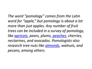 The word “pomology” comes from the Latin
word for “apple,” but pomology is about a lot
more than just apples. Any number of fruit
trees can be included in a survey of pomology,
like apricots, pears, plums, peaches, cherries,
nectarines, and avocados. Pomologists also
research tree nuts like almonds, walnuts, and
pecans, among others.
 