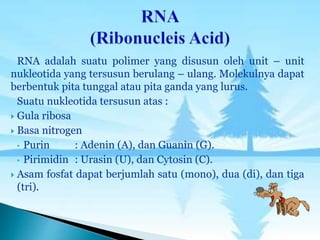 RNA adalah suatu polimer yang disusun oleh unit – unit
nukleotida yang tersusun berulang – ulang. Molekulnya dapat
berbentuk pita tunggal atau pita ganda yang lurus.
Suatu nukleotida tersusun atas :
 Gula ribosa
 Basa nitrogen
• Purin : Adenin (A), dan Guanin (G).
• Pirimidin : Urasin (U), dan Cytosin (C).
 Asam fosfat dapat berjumlah satu (mono), dua (di), dan tiga
(tri).
 