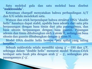 Satu molekul gula dan satu molekul basa disebut
“nukleosida”.
Ketentuan chargaff menyatakan bahwa perbandingan A/T
dan S/G selalu mendekati satu.
Watson dan crick berpendapat bahwa struktur DNA “double
helix” hasalnya dapat stabil, apabila basa adenin dari satu pita
berpasangan dengan basa timin dari pita pasangannya, dan
basa sitosin berpasangan dengan basa guanin. Pasangan
adenin dan timin dihubungkan oleh 2 atom H, sedangkan basa
sitosin dan guanin dihubungkan dengan 3 atom H.
Model DNA double helix berupa “pita spital yang saling
berpilin.”
Sebuah nukleotida selalu memiliki ujung 3’ – OH dan 5’P,
sehingga dalam “double helix” menurut model Watson-Crick
terdapat satu buah pita dengan arah 3’ – 5’, sedangkan pita
pasangannya 5’-3’.
 