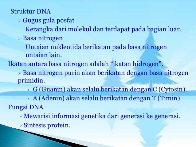 Pengertian gen, dna &amp; rna