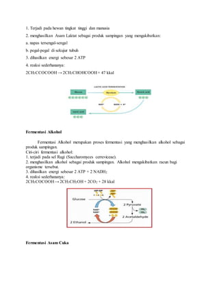 1. Terjadi pada hewan tingkat tinggi dan manusia 
2. menghasilkan Asam Laktat sebagai produk sampingan yang mengakibatkan: 
a. napas tersengal-sengal 
b. pegal-pegal di sekujur tubuh 
3. dihasilkan energi sebesar 2 ATP 
4. reaksi sederhananya: 
2CH3CCOCOOH → 2CH3CHOHCOOH + 47 kkal 
Fermentasi Alkohol 
Fermentasi Alkohol merupakan proses fermentasi yang menghasilkan alkohol sebagai 
produk sampingan. 
Ciri-ciri fermentasi alkohol: 
1. terjadi pada sel Ragi (Saccharomyces cerreviceae). 
2. menghasilkan alkohol sebagai produk sampingan. Alkohol mengakibatkan racun bagi 
organisme tersebut. 
3. dihasilkan energi sebesar 2 ATP + 2 NADH2 
4. reaksi sederhananya: 
2CH3COCOOH → 2CH3CH2OH + 2CO2 + 28 kkal 
Fermentasi Asam Cuka 
 