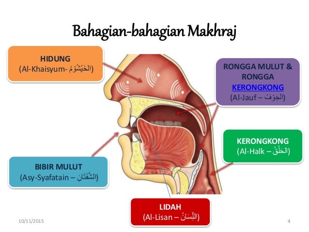 Pengertian Makharijul Huruf Pengertian Makharijul Huruf
