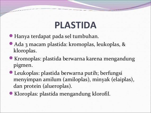 Pengertian Sel Hewan Dan Tumbuhan
