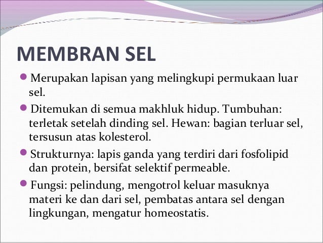 Pengertian sel hewan dan tumbuhan Pengertian sel hewan dan tumbuhan