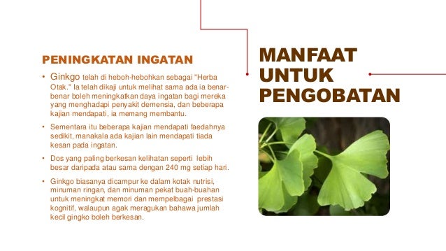 Pengetahuan produk radix iq hpai