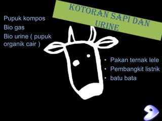 Pupuk kompos
Bio gas
Bio urine ( pupuk
organik cair )
• Pakan ternak lele
• Pembangkit listrik
• batu bata

 