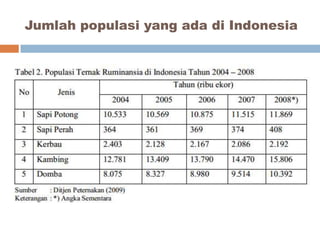Jumlah populasi yang ada di Indonesia

 