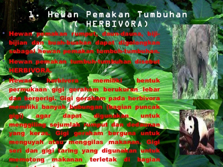 Penggolongan hewan 