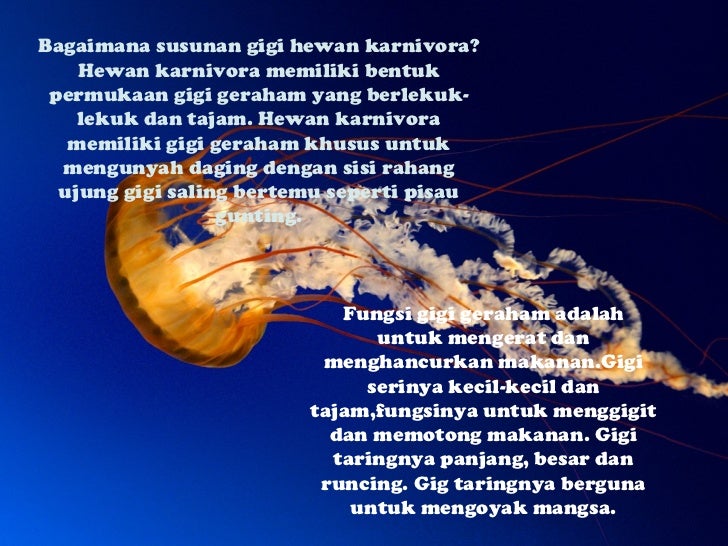 Penggolongan hewan Penggolongan hewan