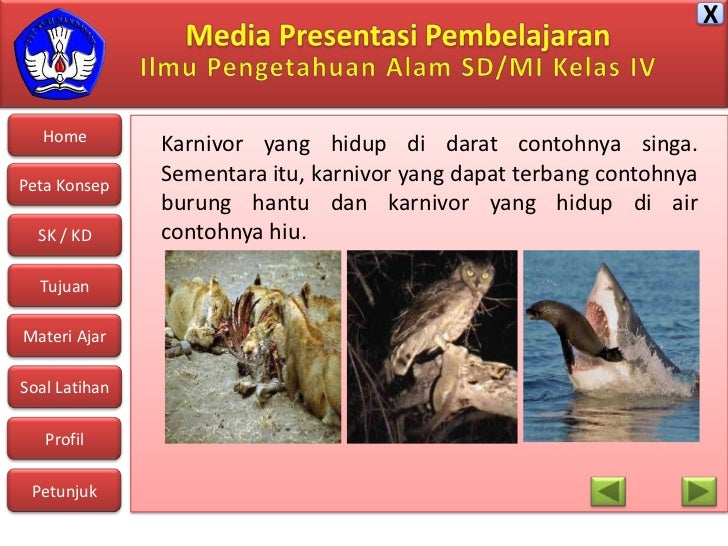 6600 Koleksi Gambar Hewan Berdasarkan Tempat Hidupnya Gratis Terbaik