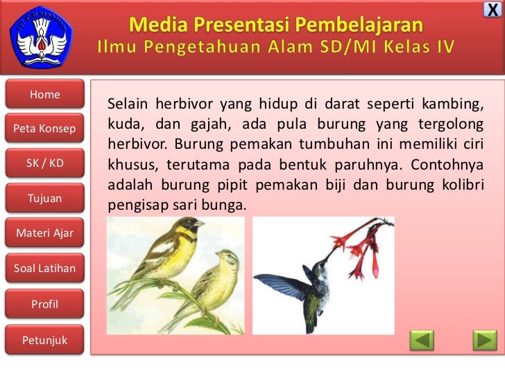 Penggolongan hewan berdasarkan makanannya Penggolongan hewan berdasarkan makanannya
