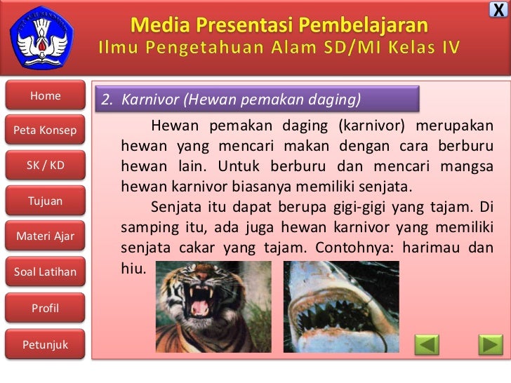 Penggolongan hewan  berdasarkan makanannya