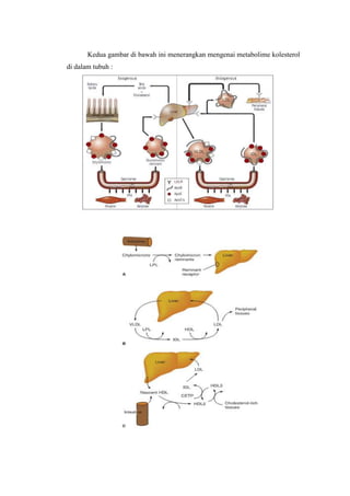 Kedua gambar di bawah ini menerangkan mengenai metabolime kolesterol
di dalam tubuh :
 