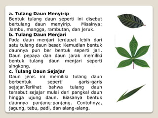 Penggolongan tumbuhan.ppt