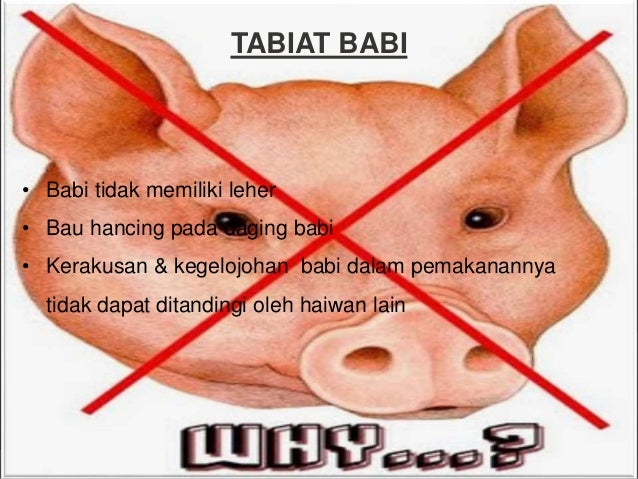 Penggunaan Produk Harian Berasaskan Komponen Daripada Khindzir 1