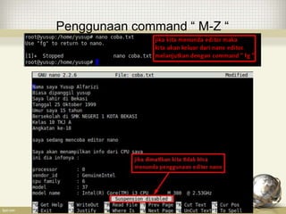 Penggunaan command “ M-Z “
 