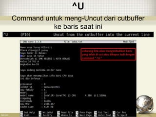 ^U
Command untuk meng-Uncut dari cutbuffer
ke baris saat ini
 