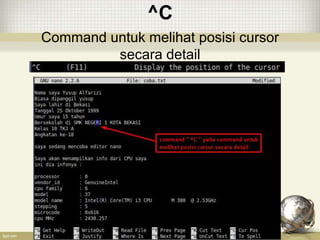 ^C
Command untuk melihat posisi cursor
secara detail
 