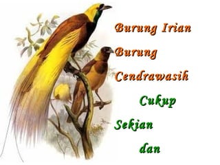 BBuurruunngg IIrriiaann 
BBuurruunngg 
CCeennddrraawwaassiihh 
CCuukkuupp 
SSeekkiiaann 
ddaann 
TTeerriimmaakkaassiihh 
 