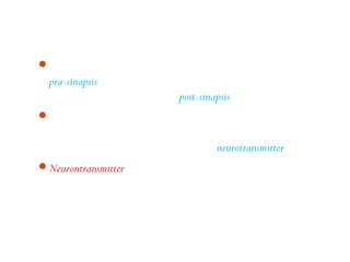 Neuron yang berakhir pada tonjolan sinapsis disebut neuron
  pra-sinapsis. Membran ujung dendrit dari sel berikutnya yang
  membentuk sinapsis disebut post-sinapsis.
Bila impuls sampai pada ujung neuron, maka vesikula
  bergerak dan melebur dengan membran pra-sinapsis.
  Kemudian vesikula akan melepaskan neurotransmitter.
Neurontransmitter adalah suatu zat kimia yang diproduksi oleh
  n pra-sinapsis dan dapat menyeberangkan impuls dari n pra-
  sinapsis menuju ke n post-sinapsis.
 