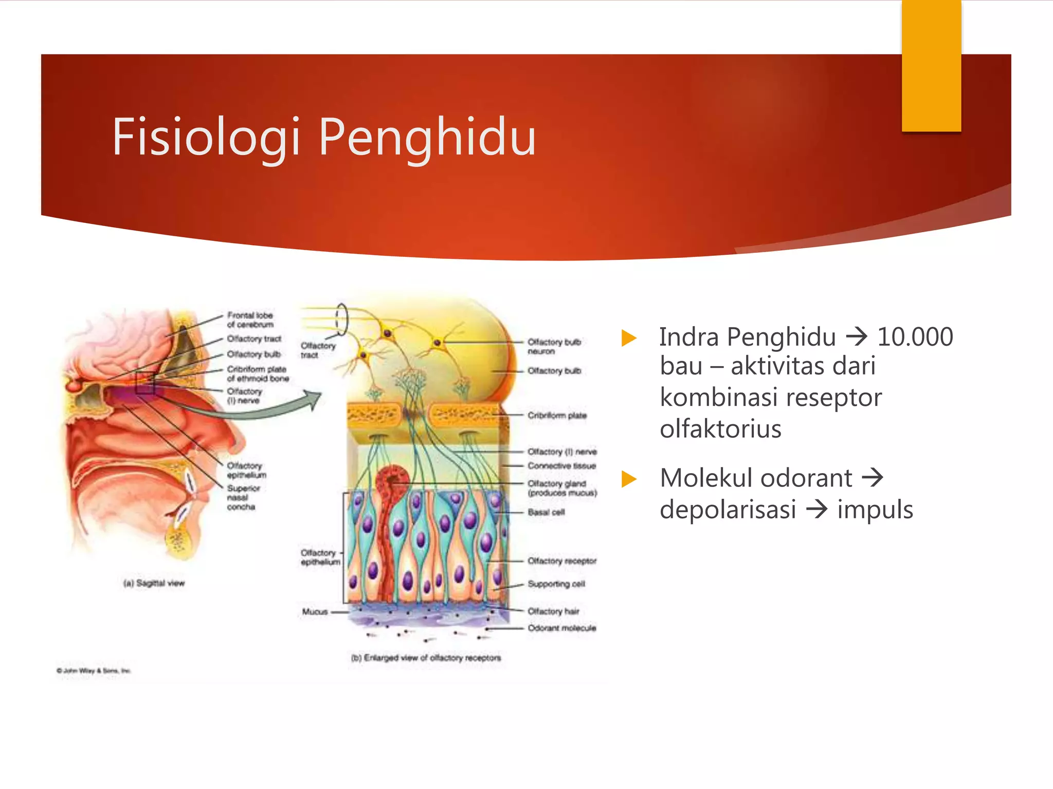 Xotin dasturxon ostida mehmonni so‘radi