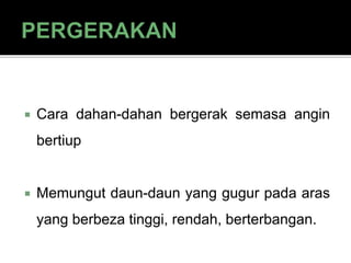  Cara dahan-dahan bergerak semasa angin
bertiup
 Memungut daun-daun yang gugur pada aras
yang berbeza tinggi, rendah, berterbangan.
 