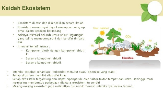 Ekosistem