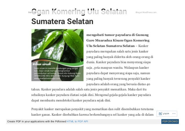 Kanker Payudara Stadium 4 Info Penting Bagi Para Penderita Kanker Payudara Stadium 4 Info Penting Bagi Para Penderita