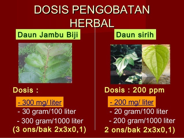 Pengobatan ikan