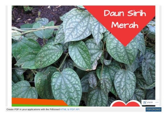 Obat Syaraf Kejepit Produk Nasa Syaraf Kejepit Obat Syaraf Kejepit Produk Nasa Syaraf Kejepit