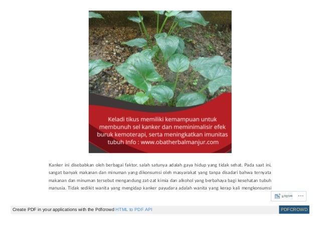 Bab Ii Tinjauan Pustaka 2 1 Kanker Payudara Dua 1 1 Definisi