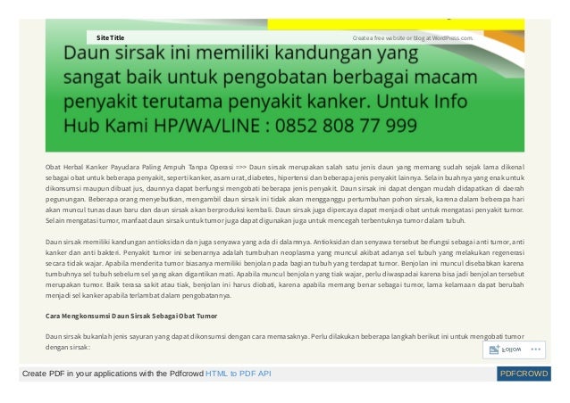 Obat Kanker Payudara Yang Telah Pecah Site Title Obat Kanker Payudara Yang Telah Pecah Site Title
