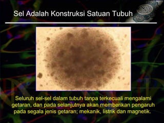 Sel Adalah Konstruksi Satuan Tubuh
Seluruh sel-sel dalam tubuh tanpa terkecuali mengalami
getaran, dan pada selanjutnya akan memberikan pengaruh
pada segala jenis getaran; mekanik, listrik dan magnetik.
 