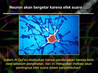 Neuron akan bergetar karena efek suara
Dalam Al Qur'an disebutkan bahwa pendengaran berada lebih
awal sebelum penglihatan, dan ini merupakan indikasi akan
pentingnya efek suara dalam penyembuhan!
 