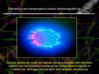 Sebuah gambaran nyata dari sebuah sel yang tercetak oleh kata-kata
tertentu dan menyebabkan proliferasi ke medan elektromagnetik di
sekitarnya, sehingga menjadi lebih aktif daripada sebelumnya!
Frekuensi suara mempengaruhi medan elektromagnetik sel
 