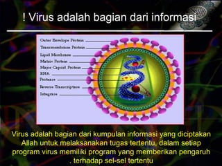 Virus adalah bagian dari informasi!
Virus adalah bagian dari kumpulan informasi yang diciptakan
Allah untuk melaksanakan tugas tertentu, dalam setiap
program virus memiliki program yang memberikan pengaruh
terhadap sel-sel tertentu.
 