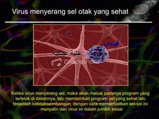 Virus menyerang sel otak yang sehat
Ketika virus menyerang sel, maka akan masuk padanya program yang
terletak di dalamnya, lalu memberikan program sel yang sehat lalu
terjadilah ketidakseimbangan, dengan cara memanfaatkan sel-sel ini
menyalin dari virus ini dalam jumlah besar.
‫فيروس‬‫فيروس‬
‫عصبية‬ ‫خلية‬‫عصبية‬ ‫خلية‬
 