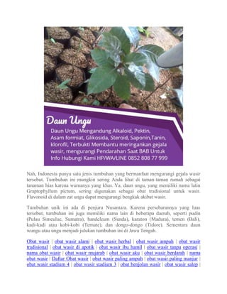 Pengobatan wasir stadium 4 | PDF