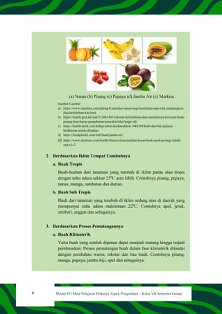 6 Modul PJJ Mata Pelajaran Prakarya Aspek Pengolahan – Kelas VII Semester Genap
(a) Nanas (b) Pisang (c) Pepaya (d) Jambu Air (e) Markisa
Sumber Gambar:
a) https://www.merdeka.com/jateng/8-manfaat-nanas-bagi-kesehatan-dan-efek-sampingnya-
jika-berlebihan-kln.html
b) https://health.grid.id/read/351883302/nikmati-kelembutan-dan-manfaatnya-ternyata-buah-
pisang-bisa-bantu-pengobatan-penyakit-tifus?page=all
c) https://health.detik.com/hidup-sehat-detikhealth/d-1482545/kulit-dan-biji-pepaya-
berkhasiat-untuk-dimakan
d) https://freshplus62.com/beli/buah/jambu-air/
e) https://www.idntimes.com/health/fitness/eliza/manfaat-besar-buah-markisa-bagi-tubuh-
exp-c1c2
2. Berdasarkan Iklim Tempat Tumbuhnya
a. Buah Tropis
Buah-buahan dari tanaman yang tumbuh di iklim panas atau tropis
dengan suhu udara sekitar 250
C atau lebih. Contohnya pisang, pepaya,
nanas, manga, rambutan dan durian.
b. Buah Sub Tropis
Buah dari tanaman yang tumbuh di iklim sedang atau di daerah yang
mempunyai suhu udara maksimum 220
C. Contohnya apel, jeruk,
stroberi, anggur dan sebagainya.
3. Berdasarkan Proses Pematangannya
a. Buah Klimaterik
Yaitu buah yang setelah dipanen dapat menjadi matang hingga terjadi
pembusukan. Proses pematangan buah dalam fase klimaterik ditandai
dengan perubahan warna, tekstur dan bau buah. Contohnya pisang,
manga, papaya, jambu biji, apel dan sebagainya.
 