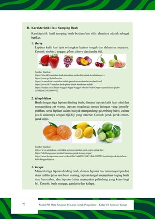 70 Modul PJJ Mata Pelajaran Prakarya Aspek Pengolahan – Kelas VII Semester Genap
B. Karakteristik Hasil Samping Buah
Karakteristik hasil samping buah berdasarkan sifat alaminya adalah sebagai
berikut:
1. Berry
Lapisan kulit luar tipis sedangkan lapisan tengah dan dalamnya menyatu.
Contoh: stroberi, anggur, plum, cherry dan jambu biji.
Sumber Gambar:
https://tirto.id/6-manfaat-buah-dan-daun-jambu-biji-untuk-kesehatan-ecvv
https://proto.gr/fruit/cherries
https://m.merdeka.com/sehat/sudah-pernah-mencoba-diet-stroberi.html
https://jovee.id/7-manfaat-buah-plum-untuk-kesehatan-tubuh/
https://shopee.co.id/Buah-Anggur-Segar-Anggur-Merah-Fresh-Grape-Australia-red-globe-
i.59312661.4833990702
2. Hespiridium
Buah dengan tiga lapisan dinding buah, dimana lapisan kulit luar tebal dan
mengandung zat warna, lapisan tengahnya serupa jaringan yang keputih-
putihan, serta lapisan dalam banyak mengandung gelembung berisi cairan
jus di dalamnya dengan biji-biji yang tersebar. Contoh: jeruk, jeruk lemon,
jeruk nipis.
Sumber Gambar:
https://www.alodokter.com/fakta-tentang-manfaat-jeruk-nipis-untuk-diet
https://bibitbunga.com/product/tanaman-jeruk-lemon-impor/
https://www.kompasiana.com/crizkaalifah/5ad4118516835f64e56f55b2/manfaat-jeruk-dari-daun-
kulit-hingga-bijinya
3. Drupa
Memiliki tiga lapisan dinding buah, dimana lapisan luar umumnya tipis dan
akan terlihat jelas saat buah matang, lapisan tengah merupakan daging buah
atau berserabut, dan lapisan dalam merupakan pelindung yang keras bagi
bji. Contoh: buah mangga, gandaria dan kelapa.
 