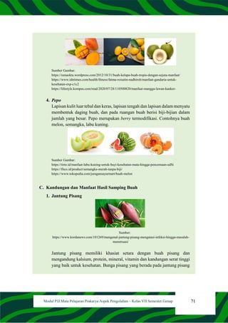 71
Modul PJJ Mata Pelajaran Prakarya Aspek Pengolahan – Kelas VII Semester Genap
Sumber Gambar:
https://ismaokta.wordpress.com/2012/10/31/buah-kelapa-buah-tropis-dengan-sejuta-manfaat/
https://www.idntimes.com/health/fitness/fatma-roisatin-nadhiroh/manfaat-gandaria-untuk-
kesehatan-exp-c1c2
https://lifestyle.kompas.com/read/2020/07/28/110500820/manfaat-mangga-lawan-kanker-
4. Pepo
Lapisan kulit luar tebal dan keras, lapisan tengah dan lapisan dalam menyatu
membentuk daging buah, dan pada ruangan buah berisi biji-bijian dalam
jumlah yang besar. Pepo merupakan berry termodifikasi. Contohnya buah
melon, semangka, labu kuning.
Sumber Gambar:
https://tirto.id/manfaat-labu-kuning-untuk-bayi-kesehatan-mata-hingga-pencernaan-edSi
https://fitco.id/product/semangka-merah-tanpa-biji/
https://www.tokopedia.com/juragansayurmart/buah-melon
C. Kandungan dan Manfaat Hasil Samping Buah
1. Jantung Pisang
Sumber:
https://www.kordanews.com/101269/mengenal-jantung-pisang-mengatasi-infeksi-hingga-masalah-
menstruasi/
Jantung pisang memiliki khasiat setara dengan buah pisang dan
mengandung kalsium, protein, mineral, vitamin dan kandungan serat tinggi
yang baik untuk kesehatan. Bunga pisang yang berada pada jantung pisang
 