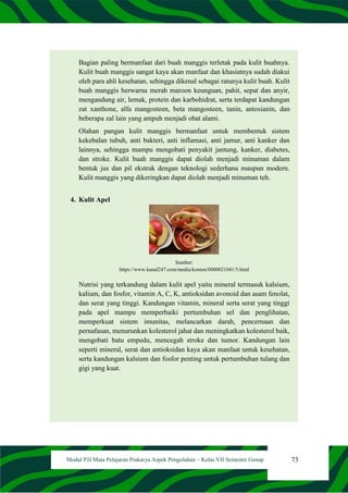 73
Modul PJJ Mata Pelajaran Prakarya Aspek Pengolahan – Kelas VII Semester Genap
Bagian paling bermanfaat dari buah manggis terletak pada kulit buahnya.
Kulit buah manggis sangat kaya akan manfaat dan khasiatnya sudah diakui
oleh para ahli kesehatan, sehingga dikenal sebagai ratunya kulit buah. Kulit
buah manggis berwarna merah maroon keunguan, pahit, sepat dan anyir,
mengandung air, lemak, protein dan karbohidrat, serta terdapat kandungan
zat xanthone, alfa mangosteen, beta mangosteen, tanin, antosianin, dan
beberapa zal lain yang ampuh menjadi obat alami.
Olahan pangan kulit manggis bermanfaat untuk membentuk sistem
kekebalan tubuh, anti bakteri, anti inflamasi, anti jamur, anti kanker dan
lainnya, sehingga mampu mengobati penyakit jantung, kanker, diabetes,
dan stroke. Kulit buah manggis dapat diolah menjadi minuman dalam
bentuk jus dan pil ekstrak dengan teknologi sederhana maupun modern.
Kulit manggis yang dikeringkan dapat diolah menjadi minuman teh.
4. Kulit Apel
Sumber:
https://www.kanal247.com/media/konten/0000021041/5.html
Nutrisi yang terkandung dalam kulit apel yaitu mineral termasuk kalsium,
kalium, dan fosfor, vitamin A, C, K, antioksidan avonoid dan asam fenolat,
dan serat yang tinggi. Kandungan vitamin, mineral serta serat yang tinggi
pada apel mampu memperbaiki pertumbuhan sel dan penglihatan,
memperkuat sistem imunitas, melancarkan darah, pencernaan dan
pernafasan, menurunkan kolesterol jahat dan meningkatkan kolesterol baik,
mengobati batu empedu, mencegah stroke dan tumor. Kandungan lain
seperti mineral, serat dan antioksidan kaya akan manfaat untuk kesehatan,
serta kandungan kalsium dan fosfor penting untuk pertumbuhan tulang dan
gigi yang kuat.
 