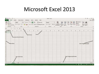 Microsoft Excel 2013
 