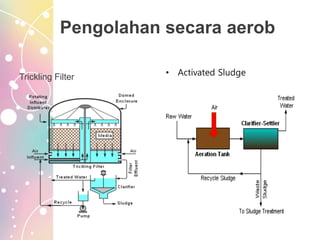 Pengolahan secara aerob
Trickling Filter • Activated Sludge
 