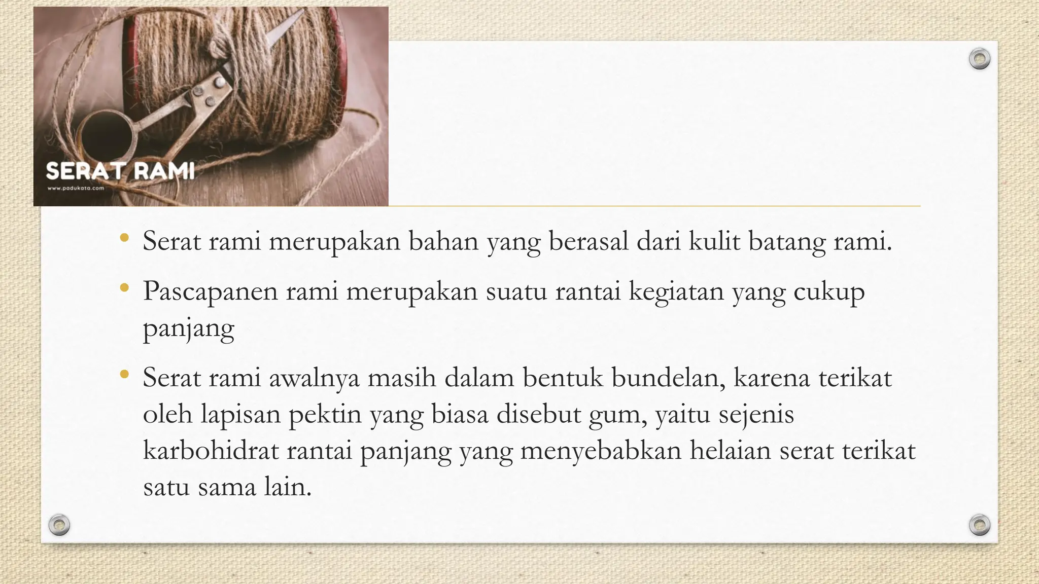 Pengolahan Serat dari tanaman Rami...pdf